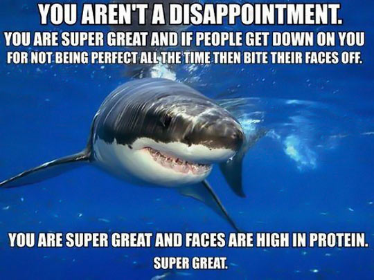 A few words from Self Esteem Shark