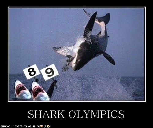 And the Winner of the Breaching Competition is....