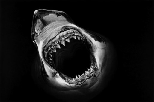 shark-robert-longo-1-610x407