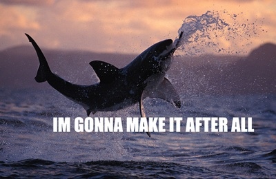 43-shark-memes-shark-week--large-msg-131232916114