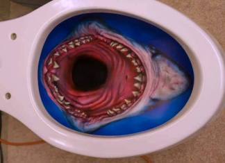 SharkToilet