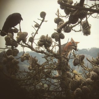 1601077_947092301970593_489434899420269090_n